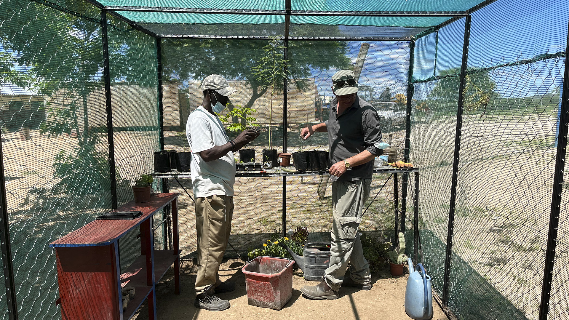 Gartenassistenten arbeiten in der neuen „Nursery“