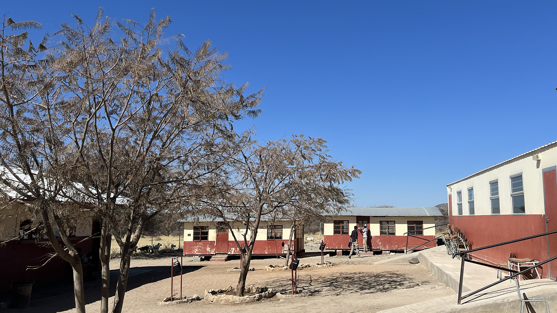 The two classrooms that were moved in march form a beautiful conclusion to the schoolyard...