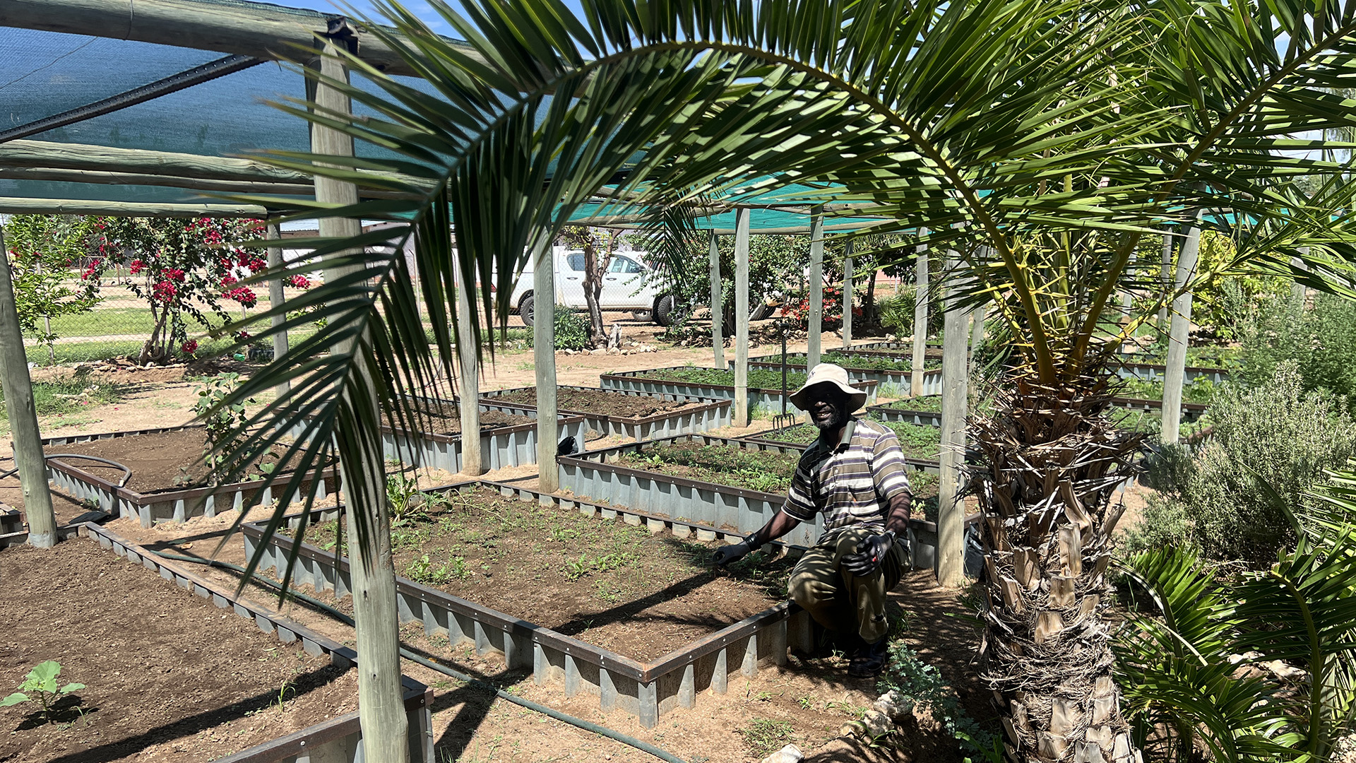 Mr. Marcelus Guim, the garden assistant, is doing a great job.